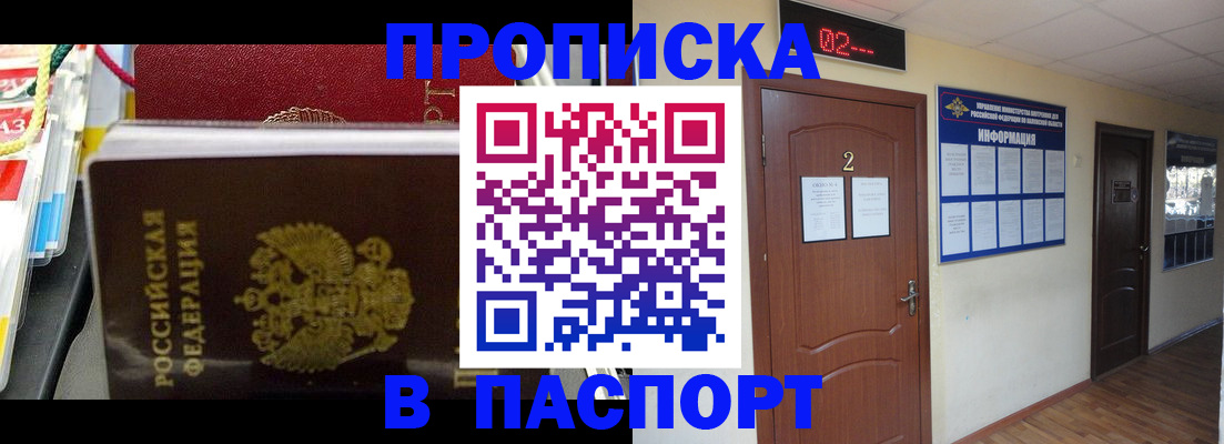 прописка гарантия в Пионерском